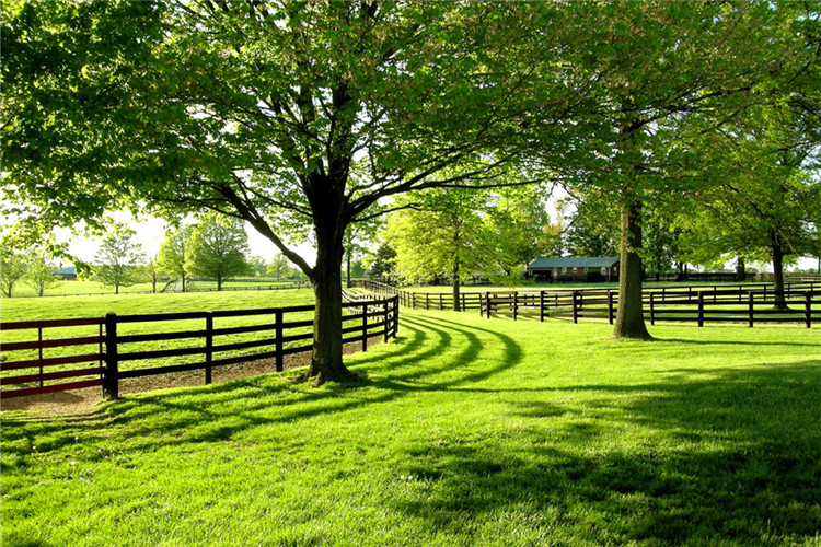 東北師范大學學前教育專業(yè)專升本怎么樣？