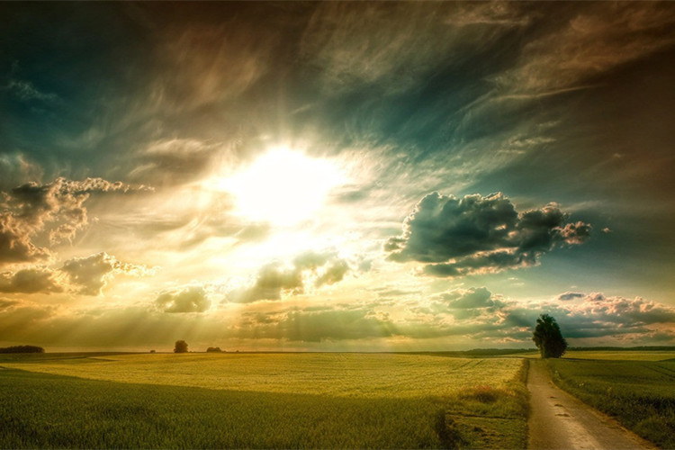 西北工業(yè)大學(xué)遠(yuǎn)程教育能不能免試入學(xué)？要什么條件？