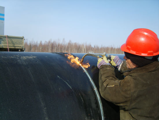 農(nóng)林經(jīng)濟(jì)管理專升本報(bào)名有哪些條件要求的限制？