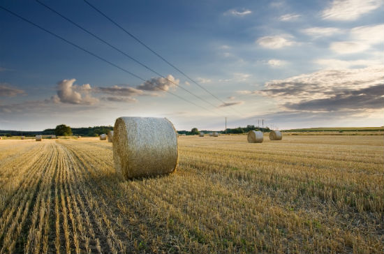 商務(wù)英語專升本一年學(xué)費(fèi)大概交多少錢？