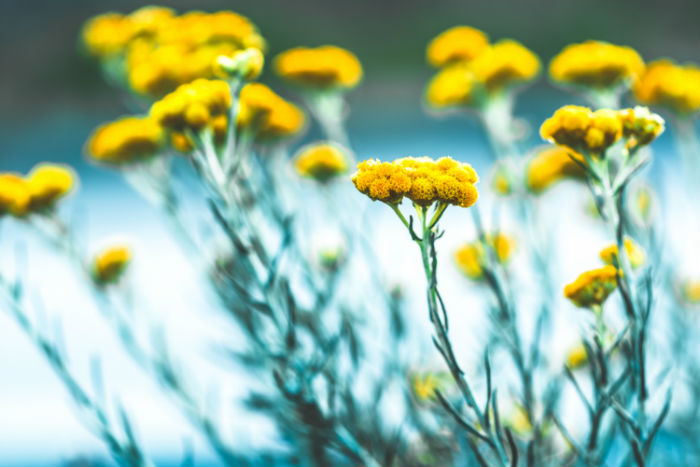 北京師范大學(xué)大專(zhuān)升本遠(yuǎn)程教育入學(xué)考試哪些科和怎么入學(xué)測(cè)試?