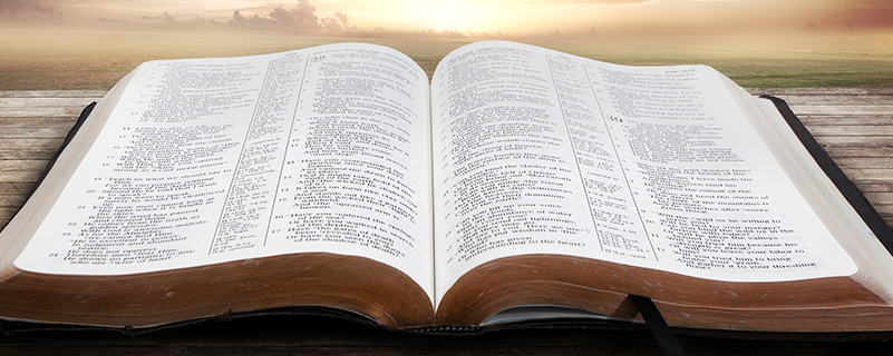 什么是?？剖裁词潜究茖W歷