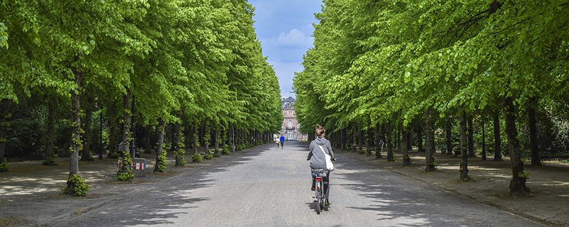 中國石油大學(xué)(華東)網(wǎng)絡(luò)教育有哪些專業(yè)