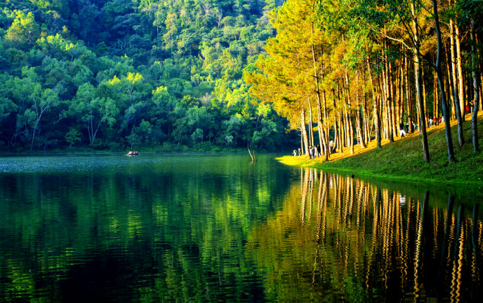 日照市在職學歷提升機構(gòu)