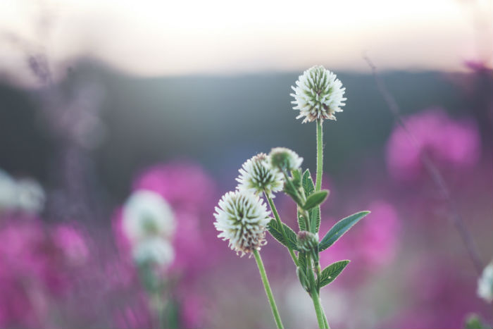 遼源專(zhuān)升本怎么快速考取真實(shí)可查的本科畢業(yè)證