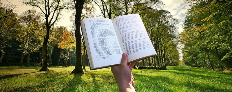 東北師范大學網(wǎng)教專升本漢語言文學入學測試考什么