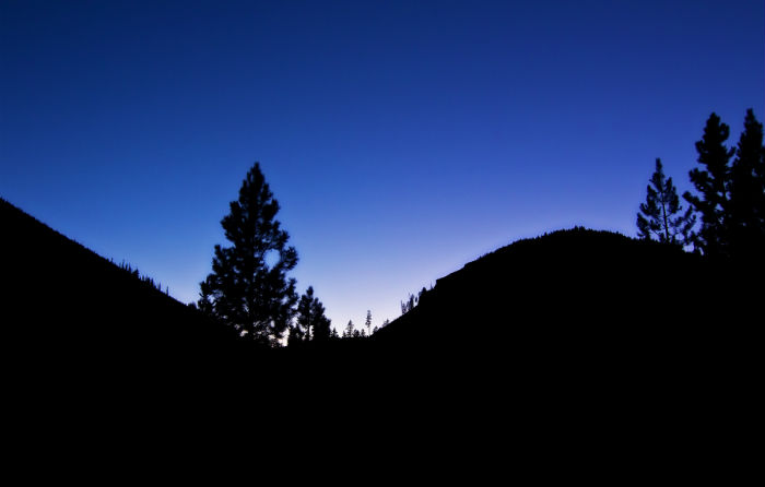 成考?？颇軋竺男〇|北財經(jīng)大學(xué)網(wǎng)絡(luò)教育本科專業(yè)？