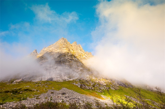 北京語言大學(xué)網(wǎng)絡(luò)教育畢業(yè)后怎么申請學(xué)位證