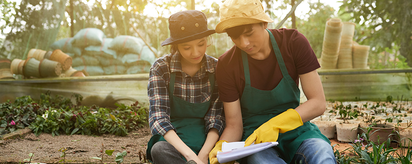 網(wǎng)絡教育電子商務大專什么條件能報名