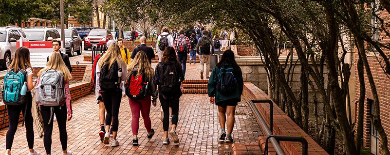 臨沂網(wǎng)絡(luò)教育有哪些專業(yè)可以選擇?