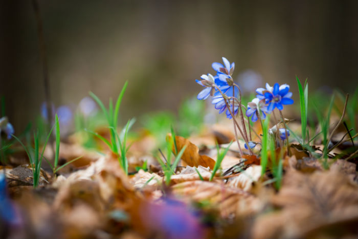 專升本報考學(xué)校有哪些