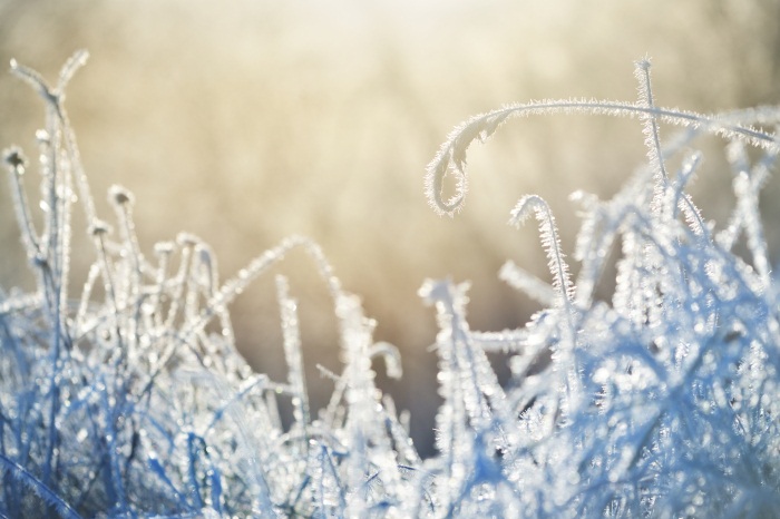 中國(guó)地質(zhì)大學(xué)遠(yuǎn)程教育網(wǎng)上怎么報(bào)英語統(tǒng)考